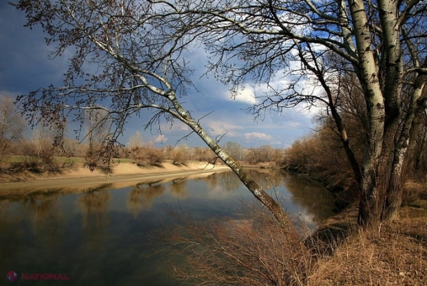 IMPORTANT! Scăldatul în râurile Prut și Nistru este interzis: Singurele excepții