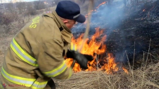 Aproape 240 de hectare din R. Moldova au ARS într-o singură zi. Circa 60 de hectare - în flăcări lângă Chișinău