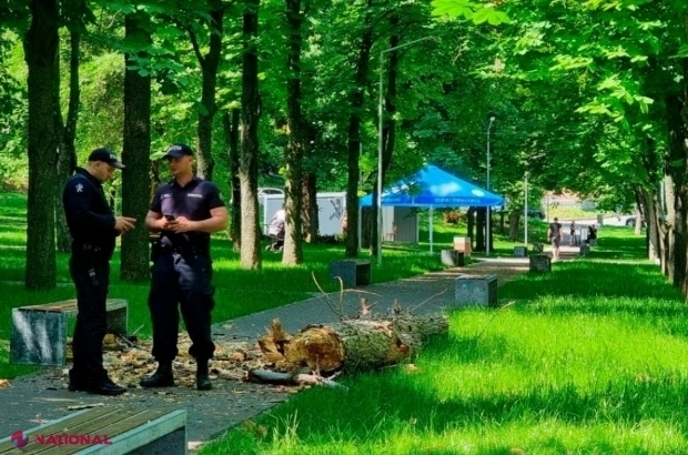 „VINOVATUL” în cazul decesului fetiței de un an, care a fost lovită mortal de un copac căzut în Parcul „Alunelul” din Chișinău, pe banca acuzaților