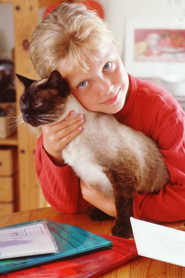 Să-ți ții pisica în brațe îți poate aduce moartea! Semnalul de ALARMĂ dat de oamenii de știință
