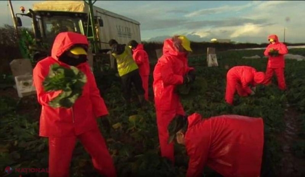 Un EXPERIMENT al jurnaliștilor de la BBC1 arată de ce românii și bulgarii sunt la mare căutare în Marea Britanie