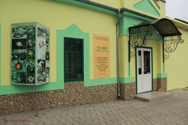 Grădina EXOTICĂ din inima Chișinăului