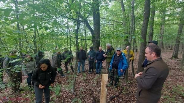 Strategii comune pentru protecția pădurilor, elaborate de silvicultorii din R. Moldova și România: „Colaborarea dintre specialiștii din cele două state reprezintă un pas important în protejarea și conservarea biodiversității forestiere”