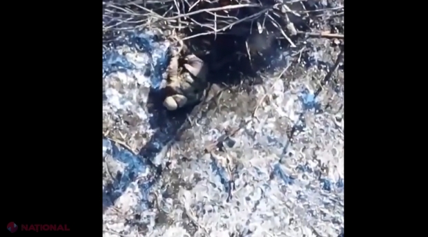 VIDEO +18 // Noi imagini dramatice cu soldați ruși loviți din DRONĂ de militarii ucraineni. Soldații lui Putin, ținte sigure 