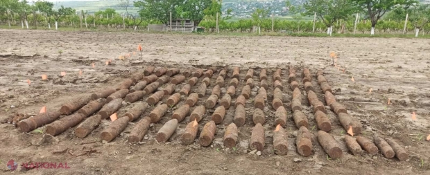 FOTO // Peste 100 de BOMBE, descoperite la Măgdăcești în timpul unor lucrări agricole