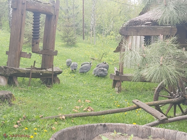 METEO // RĂCIRE bruscă a vremii: Ce maxime vom avea în termometre în zilele următoare