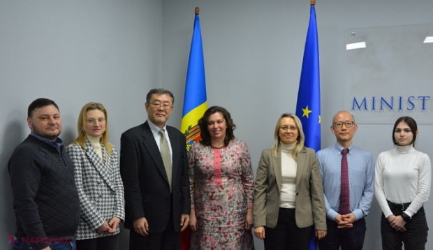 Japonia ar putea oferi echipamente necesare pentru a ajuta R. Moldova să-și împădurească până la 15% din suprafața republicii