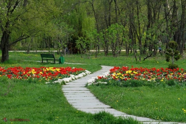 Concert de excepție într-un PARC din Chișinău. Muzică de VIOARĂ la iarbă verde