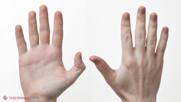 TEORII // De ce degetele de la mâini au dimensiuni diferite