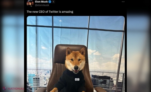 Ce animale de companie are Elon Musk, mogulul tehnologiei ales de Donald Trump să conducă viitorul „Departament al Eficienței Guvernamentale”