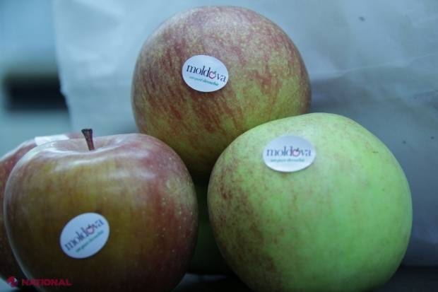 Autoritățile raportează EXPORTURI de FRUCTE mai mari decât anul trecut: „Agriculturii s-au orientat ce să producă”