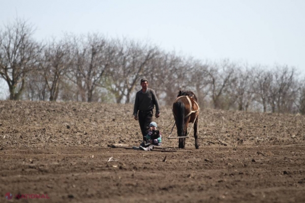 Previziunea oamenilor de știință din R. Moldova: „Vine APOCALIPSA agriculturii tradiționale!”