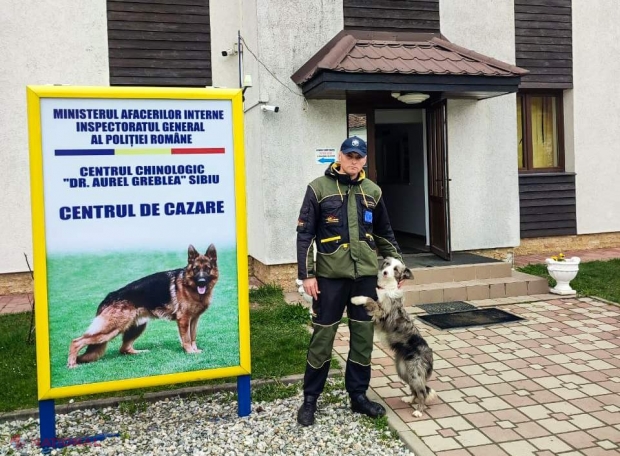 Trei echipe canine ale Poliției de Frontieră, şcolite aproape două luni la Sibiu