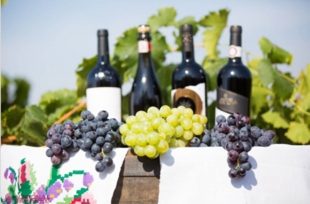 Peste o MIE de MEDALII, obținute de companiile vinicole din R. Moldova în anul curent