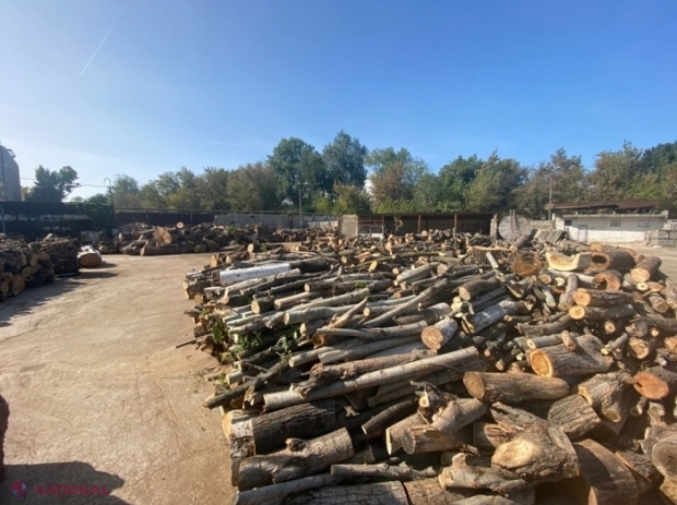 Toată informația legată de achiziția LEMNELOR la prețul din anul trecut, la LINIA VERDE 0 800 101 01, lansată de Guvern