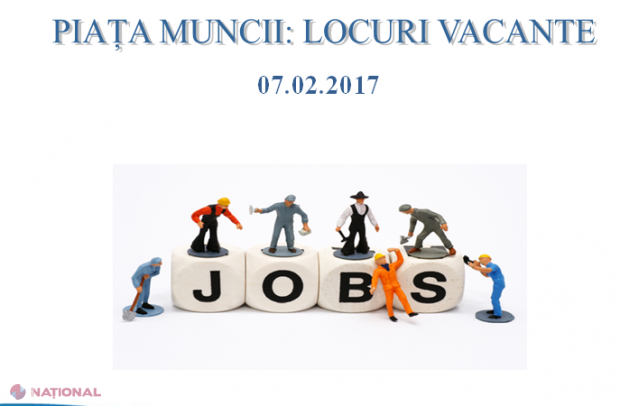 Cea mai CĂUTATĂ profesie acum în R. Moldova! Nu necesită studii superioare