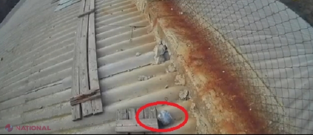 VIDEO // Cum ajungeau DROGURILE în penitenciarele din nordul R. Moldova: Trei inși, REȚINUȚI