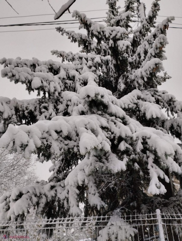METEO // Luna ianuarie, între minus 35,5 și plus 18,4 grade Celsius, în R. Moldova