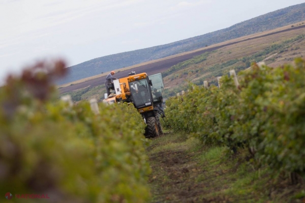 Un moldovean stabilit în SUA întinde o mână de ajutor agricultorilor moldoveni