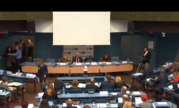 Elena Grițco a ținut un discurs la Consiliul Europei: „Acest adevăr n-o să vi-l spună autoritățile statului”