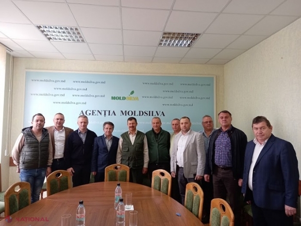 „Romsilva” va ajuta „Moldsilva” să sporească fondul forestier cu 100 000 ha