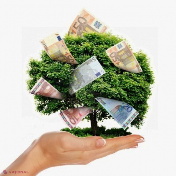 Nu ai bani pentru a realiza un proiect? Iată cine îți OFERĂ ajutor