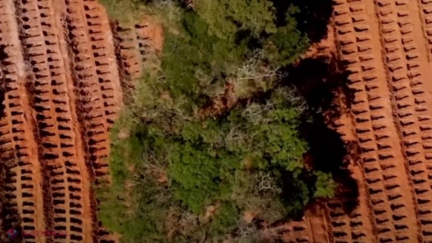 VIDEO // Miile de morminte săpate în Brazilia pentru victimele COVID-19, filmate cu drona