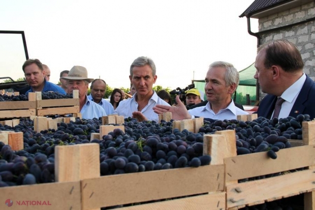 NU le pasă de interdicțiile Rusiei // Primul TIR cu struguri moldovenești a plecat spre București