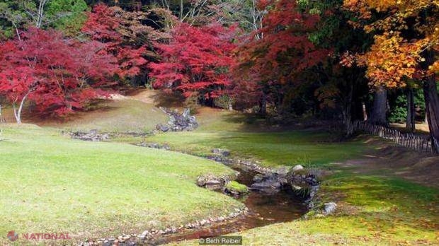 FOTO // Istoria UIMITOARE a celui mai frumos SAT din Japonia 