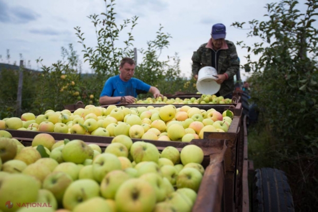 Producătorii agricoli semnalează ABUZURI în activitatea ANSA