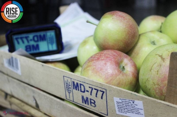 INVESTIGAȚIE // Mafia ANTI-EMBARGO. Cum evită agricultorii moldoveni interdicțiile de import ale Rusiei?