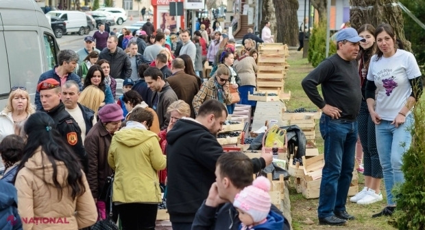 GRANTURI pentru producătorii de struguri și alte fructe din R. Moldova: Instruiți cum să-și majoreze exporturile pe piața UE