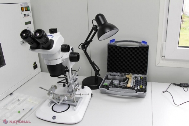 Al doilea LABORATOR MOBIL de creștere și inseminare artificială a mătcilor de albine, deschis în R. Moldova: „Apicultorii vor avea acces la material genetic de înaltă calitate”