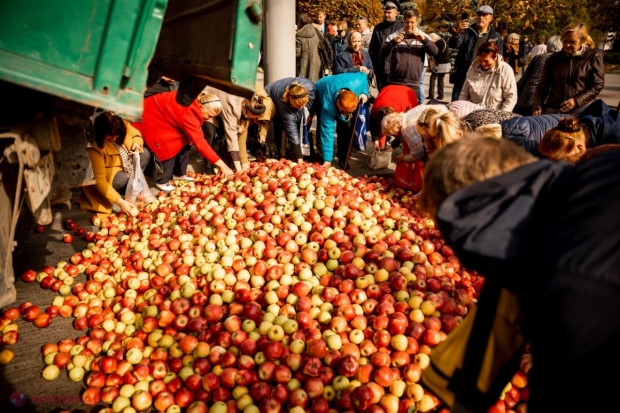 A consumat substanțe NARCOTICE, iar mai apoi a descărcat un CAMION cu mere în fața Ministerul Agriculturii și Industriei Alimentare. Ce pedeapsă riscă bărbatul care a comis această faptă