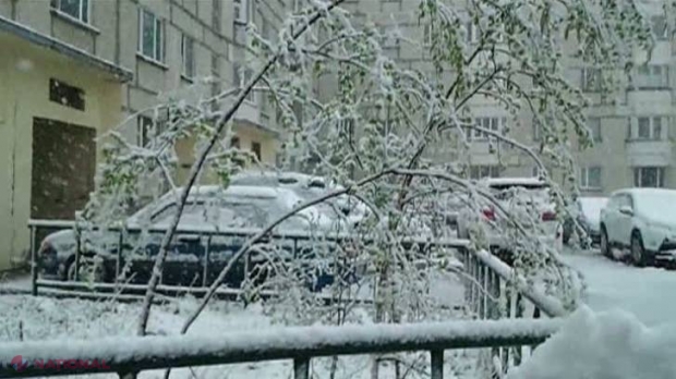 Ninsoare în mijlocul verii