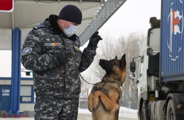 VIDEO // SPAIMA contrabandiștilor, de CINCI ori mai puternică decât acum 14 ani: „BATALIONUL” canin de la Vamă a ajuns la 20 de echipe