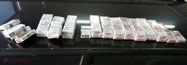 Cum a vrut un cetățean al R. Moldova să MITUIASCĂ descoperirea câinilor de la Serviciul Vamal