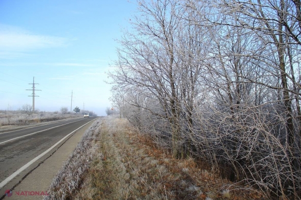 Ianuarie 2015, a doua CEA MAI CALDĂ lună ianuarie din istoria măsurătorilor 