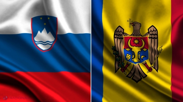 DOC // Investitorul din Slovenia, hărțuit de caracatița „mafioto-judiciară”, sesizează Delegația UE, dar și autoritățile R. Moldova