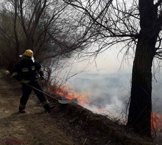 VIDEO // O suprafață extinsă a Rezervației naturale Prutul de Jos a ARS