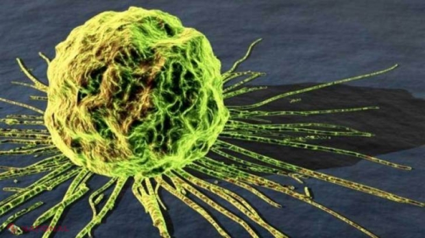 Păpădia distruge celulele canceroase