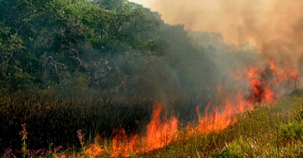 Pericol de INCENDIU în R. Moldova: Recomandări pentru cetățeni