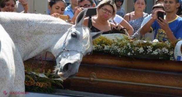 VIDEO // Un cal a fost adus la înmormântarea stăpânului său. Oamenii au rămas uimiți când au văzut ce face animalul
