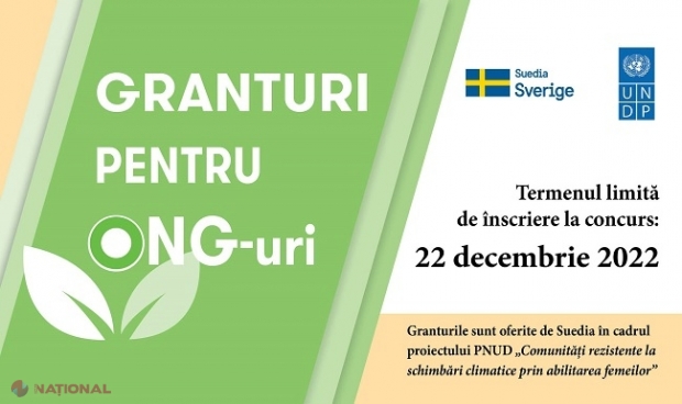 GRANTURI de până la 16 000 de dolari, anunțate de PNUD pentru ONG-urile de mediu și dezvoltare locală din R. Moldova: Ce trebuie să faceți pentru a beneficia de bani