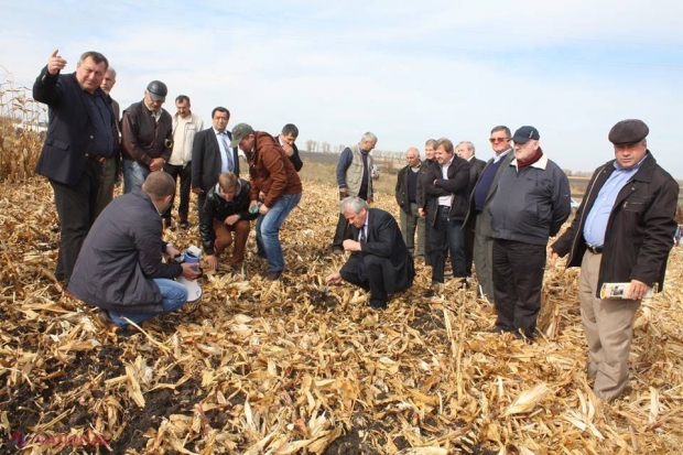 Metoda care îi aduce unui agricultor PROFIT MAI MARE cu investiții MAI MICI