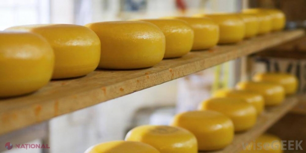 Cea mai apreciată brânză din lume a apărut dintr-o GREȘEALĂ. Care este SECRETUL ei