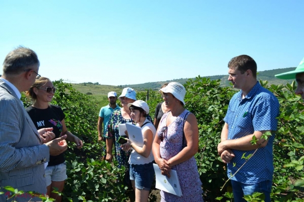 Cerere pe piaţa UE pentru pomuşoarele moldoveneşti: UE va finanța proiecte individuale pentru cultivarea pomușoarelor în R. Moldova