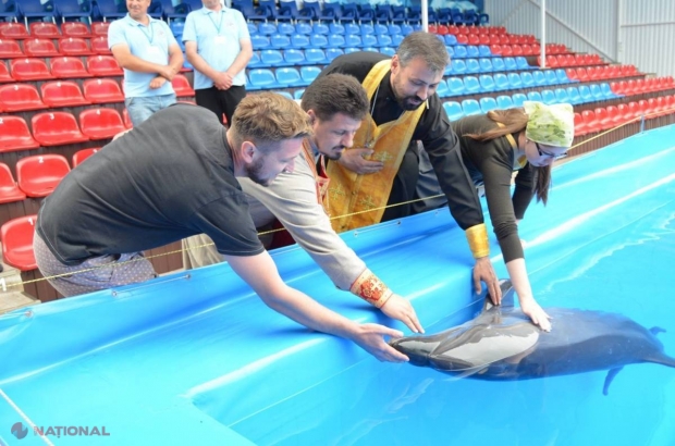 FOTO // Delfinariul din Chișinău a fost SFINȚIT: „Delfinii sunt BLÂNZI”