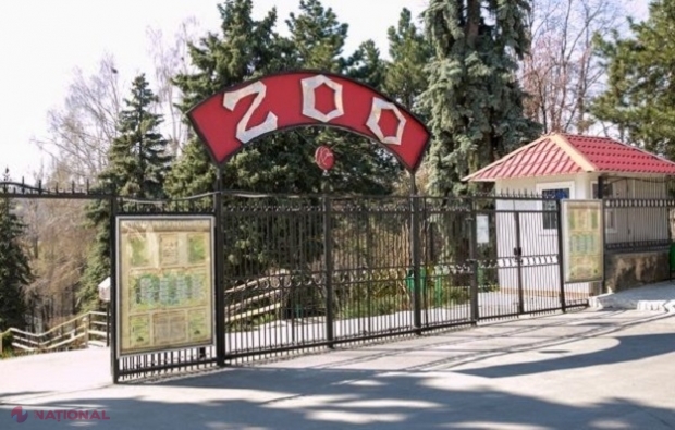 Acces GRATUIT pentru copii la Grădina Zoologică din Chișinău, pe 1 iunie: Loc special amenajat pentru a mângâia și hrăni animalele