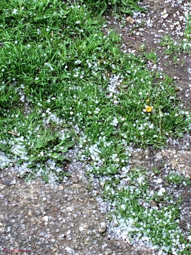 Ministerul Agriculturii dă ALARMA! Aceste MĂSURI urgente pot SALVA roada de înghețuri 